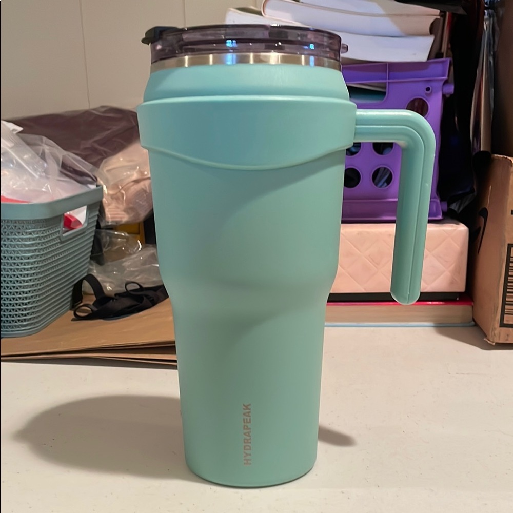 Hydrapeak Stainless Steel Mint Green Tumbler with Handle